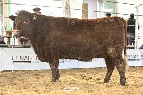 Foto de BOECK 98 ENTONADA FARPADO 2100 SÃO VALEN