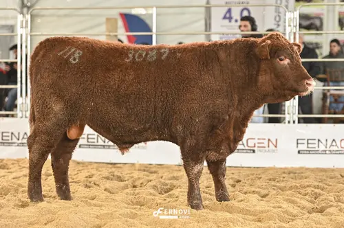 Foto de THOR BARON 3087 DE SANTA LÚCIA
