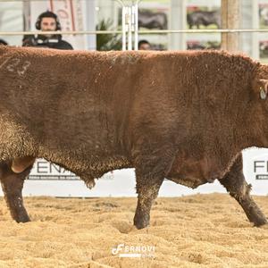 Foto de BOECK 110 EL BACHAREL BACHAREL 10 S S P