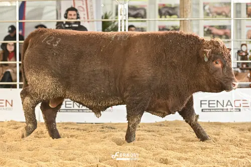 Foto de BOECK 110 EL BACHAREL BACHAREL 10 S S P