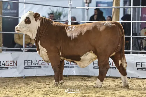 Foto de CAMILA 38-FIVC58 CHACARERA