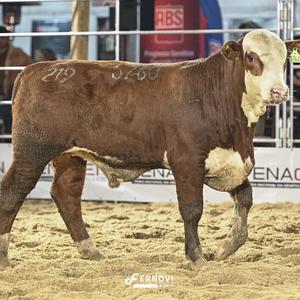 Foto de SANTA TEREZA U5760