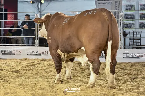 Foto de QUADRO SONHO E REALIDADE FIV182