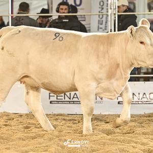 Foto de BATOVI FIV96 FROZEN #