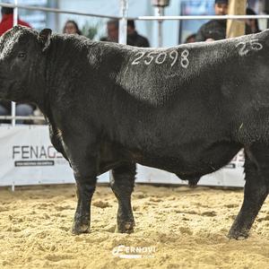 Foto de SOLDERA TE25098 TE9173 GROWTH FUND