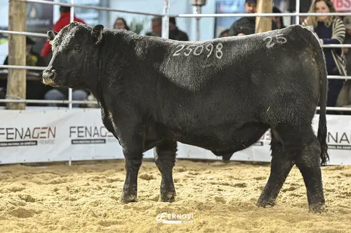 Foto de SOLDERA TE25098 TE9173 GROWTH FUND