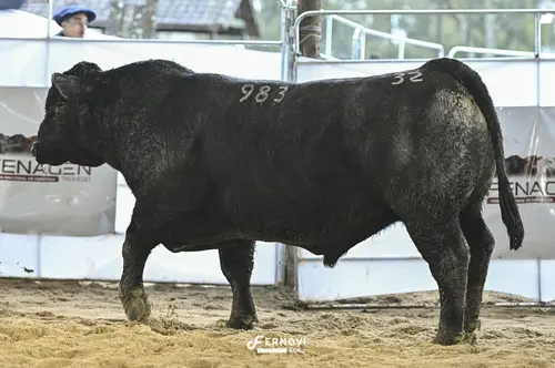 Foto de PASSO COMPRIDO 983