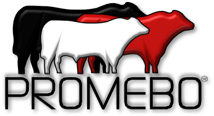 PROMEBO